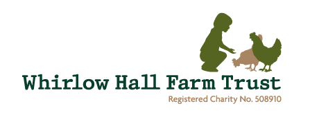 Northern Living - Whirlow Hall Farm Trust - Christmas tree and turkey price list