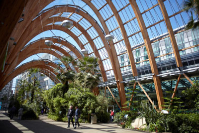 Northern Living - Sheffield Winter Garden